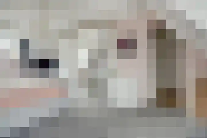 Zwette 19 Hekelingen thumbnail 32