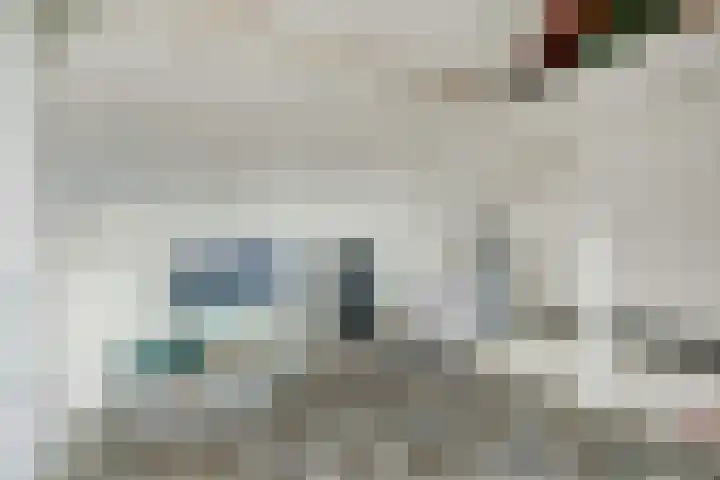 Zwette 19 Hekelingen thumbnail 34