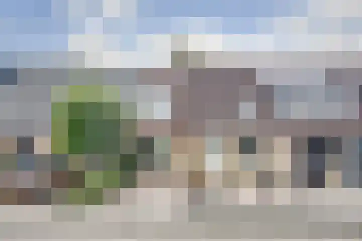 Zwette 19 Hekelingen thumbnail 38
