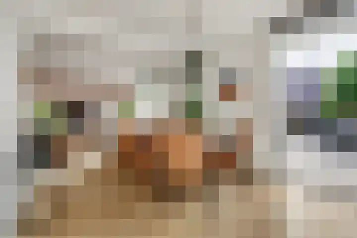 Zwette 19 Hekelingen thumbnail 4