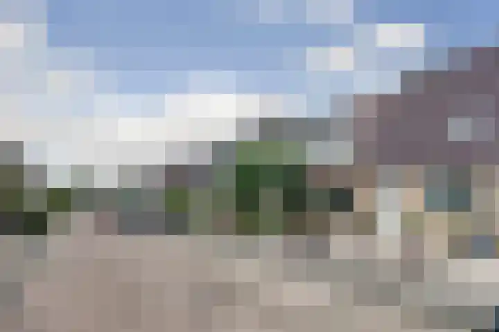 Zwette 19 Hekelingen thumbnail 42