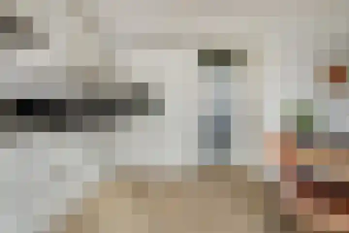 Zwette 19 Hekelingen thumbnail 9
