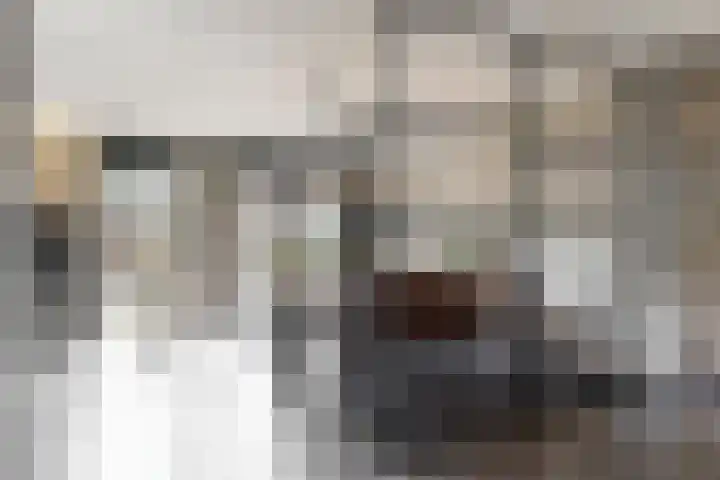 Zwette 20 Hekelingen thumbnail 11