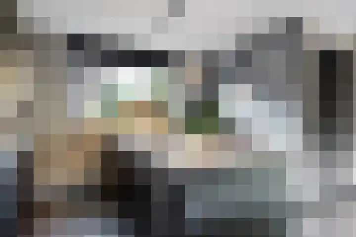 Zwette 20 Hekelingen thumbnail 14