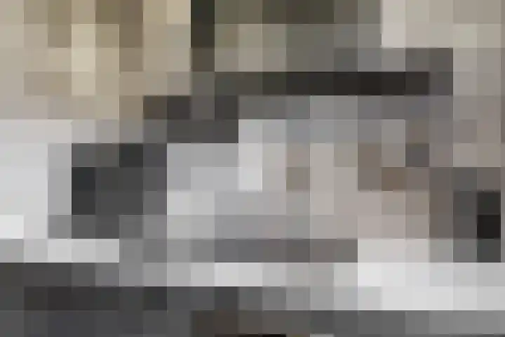 Zwette 20 Hekelingen thumbnail 16
