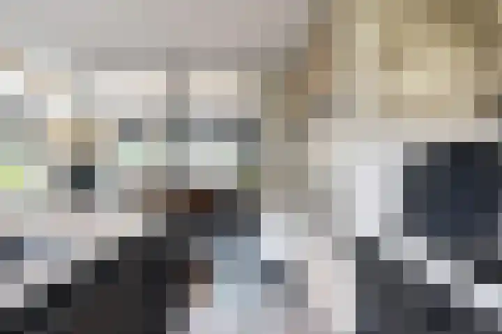 Zwette 20 Hekelingen thumbnail 17