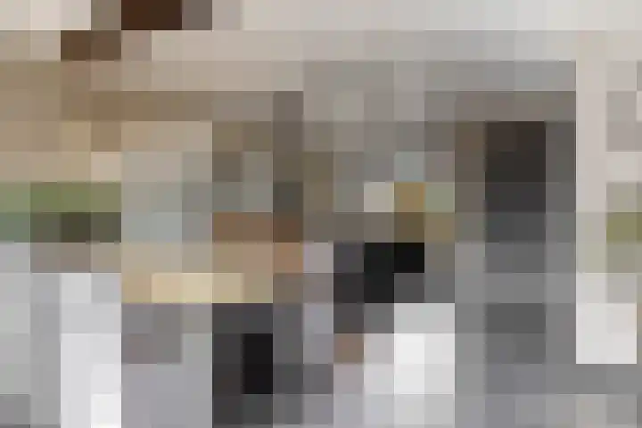 Zwette 20 Hekelingen thumbnail 21