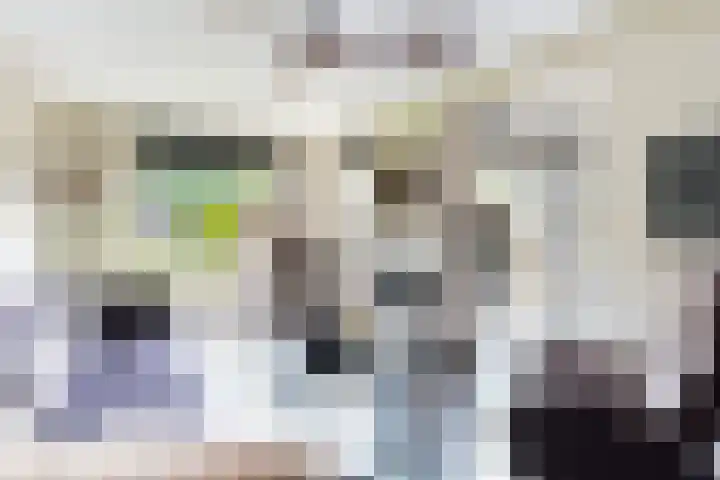 Zwette 20 Hekelingen thumbnail 24