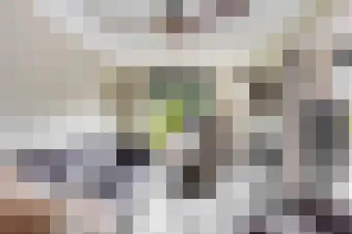 Zwette 20 Hekelingen thumbnail 25