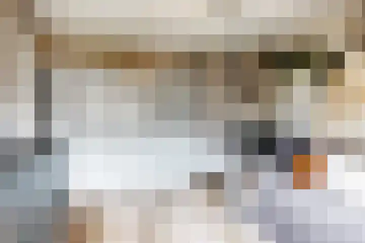 Zwette 20 Hekelingen thumbnail 29