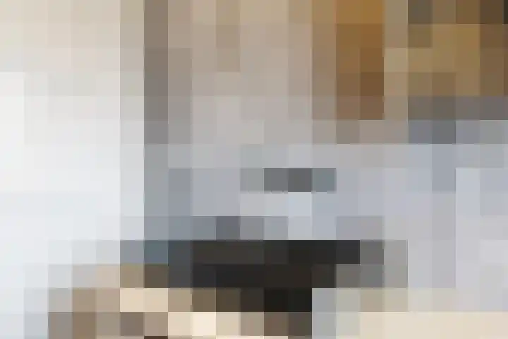 Zwette 20 Hekelingen thumbnail 31