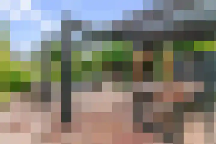 Zwette 20 Hekelingen thumbnail 38