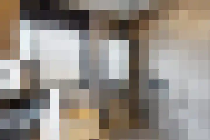 Zwette 20 Hekelingen thumbnail 4