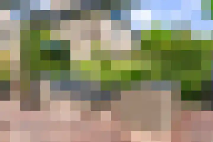 Zwette 20 Hekelingen thumbnail 41
