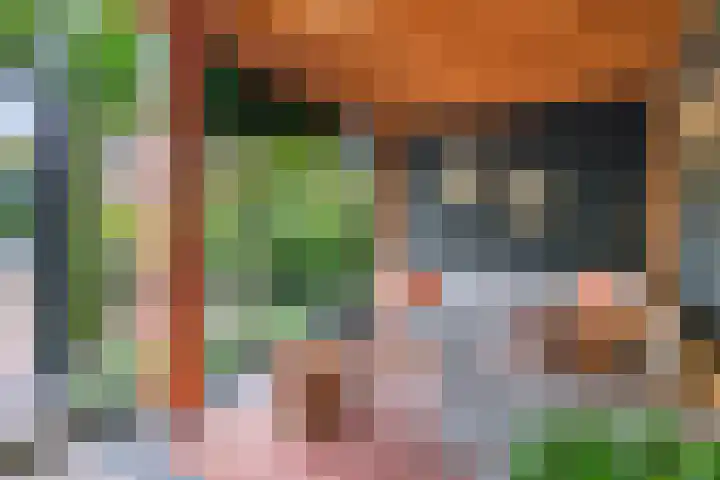 Zwette 20 Hekelingen thumbnail 44