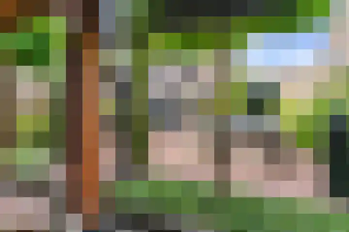Zwette 20 Hekelingen thumbnail 45