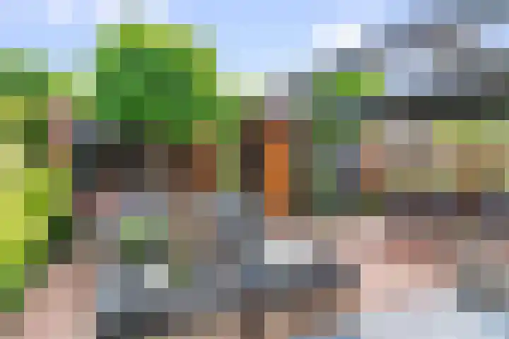 Zwette 20 Hekelingen thumbnail 5