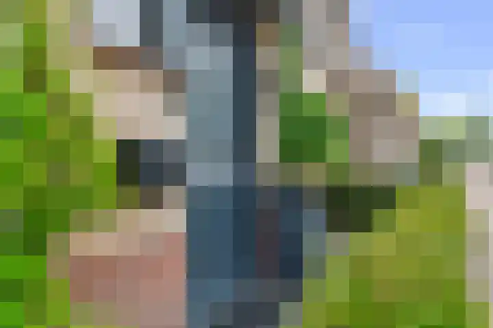 Zwette 20 Hekelingen thumbnail 8