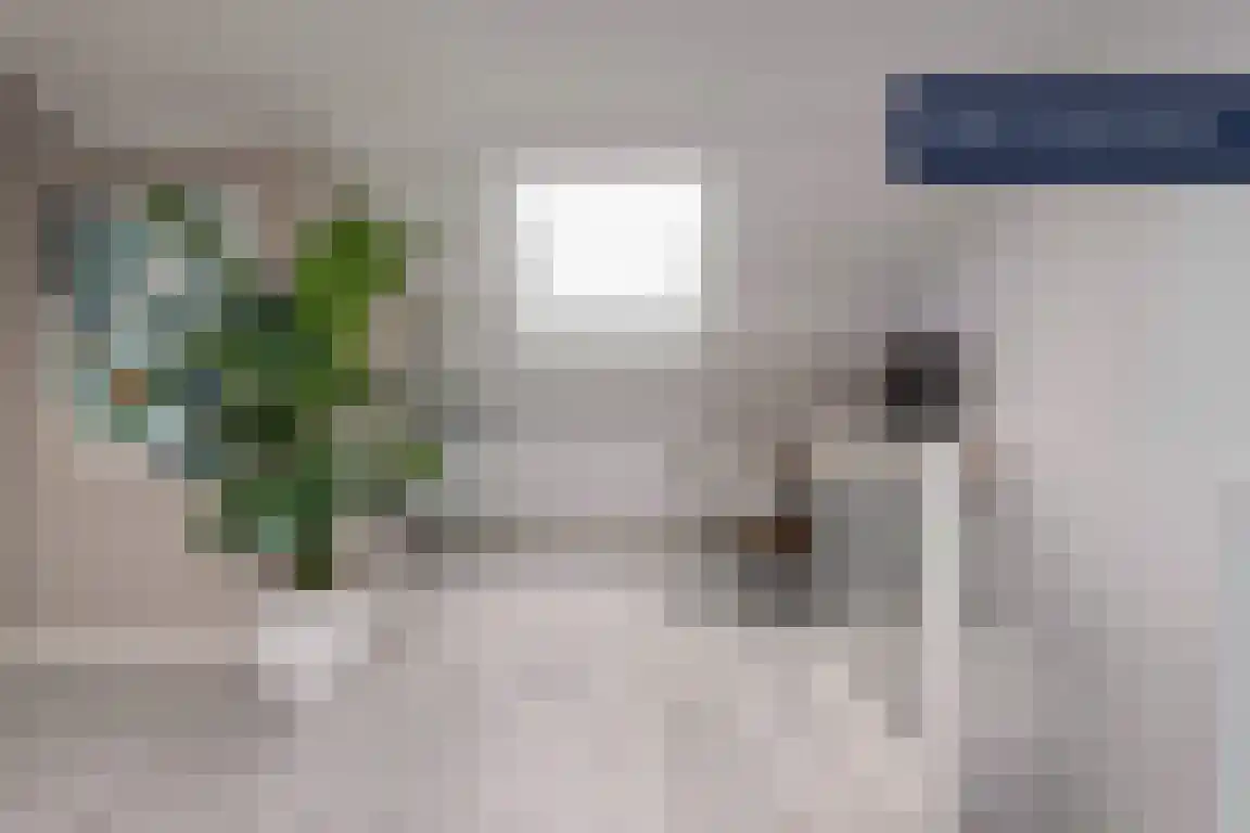 Zwette 3 A Zwolle thumbnail 13