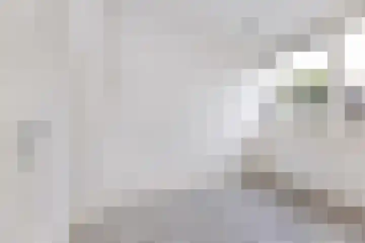 Zwette 3 Zwolle thumbnail 13