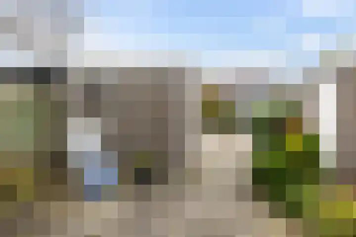 Zwette 3 Zwolle thumbnail 4