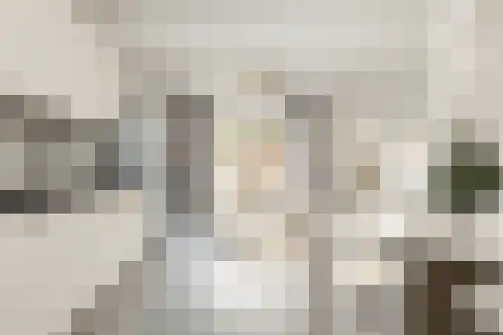 Zwette 3 Zwolle thumbnail 6