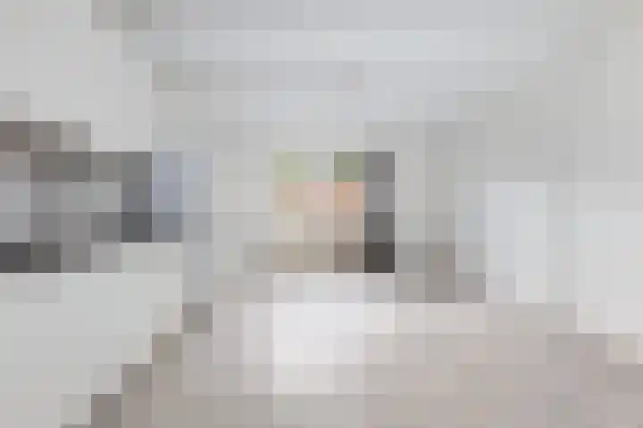 Zwette 3 Zwolle thumbnail 7