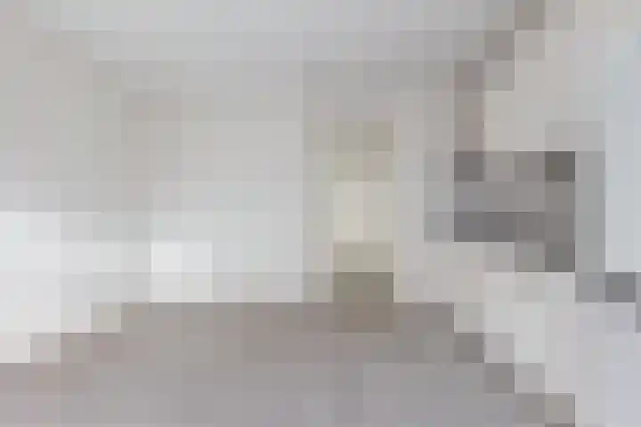 Zwette 3 Zwolle thumbnail 9