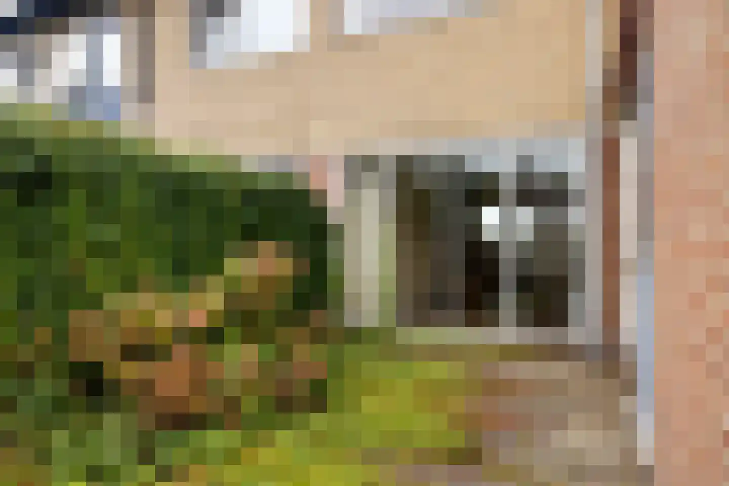 Zwette 30 Heerenveen thumbnail 27