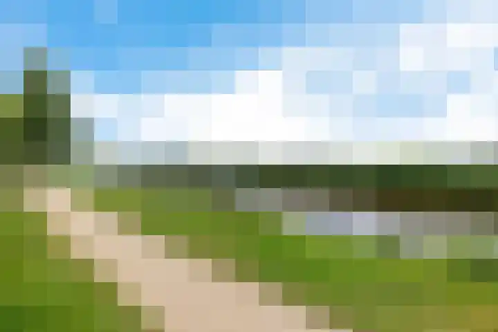 Zwette 36 Heerenveen thumbnail 10