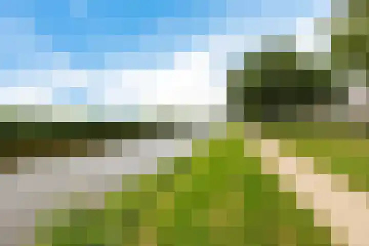 Zwette 36 Heerenveen thumbnail 11
