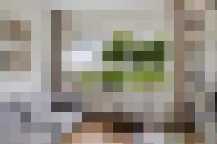 Zwette 36 Heerenveen thumbnail 13