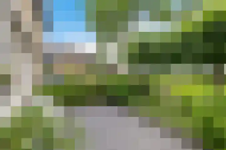 Zwette 36 Heerenveen thumbnail 6