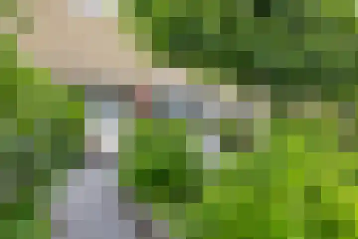 Zwette 36 Heerenveen thumbnail 7