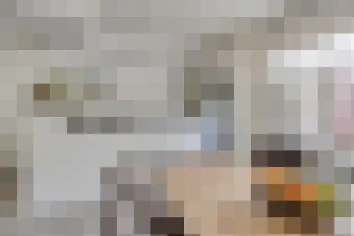 Zwette 6 Heerenveen thumbnail 12