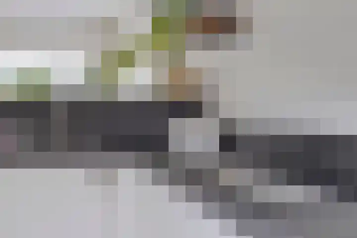 Zwette 6 Heerenveen thumbnail 16
