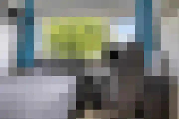 Zwette 6 Heerenveen thumbnail 24