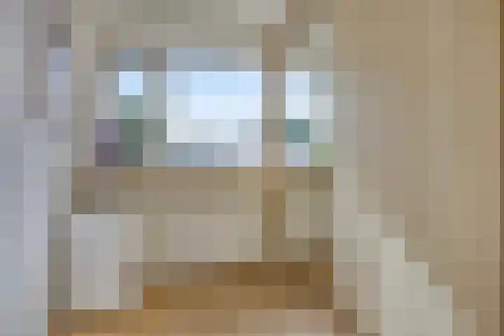 Zwette 6 Heerenveen thumbnail 25