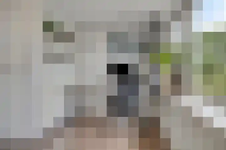 Zwette 6 Heerenveen thumbnail 31