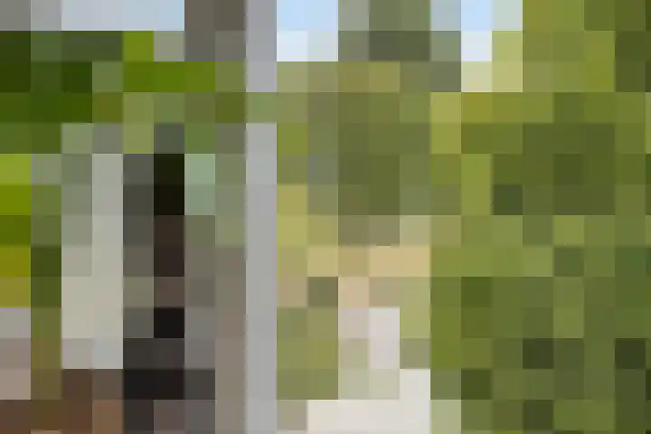 Zwette 6 Heerenveen thumbnail 33