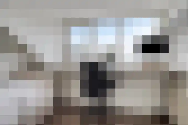 Zwette 6 Heerenveen thumbnail 35