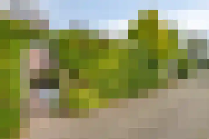 Zwette 6 Heerenveen thumbnail 39