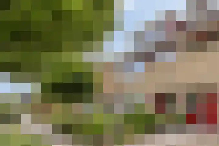 Zwette 6 Heerenveen thumbnail 4