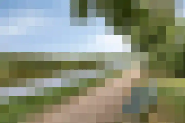 Zwette 6 Heerenveen thumbnail 40