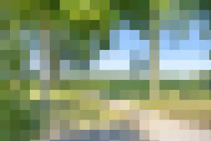Zwette 6 Heerenveen thumbnail 41