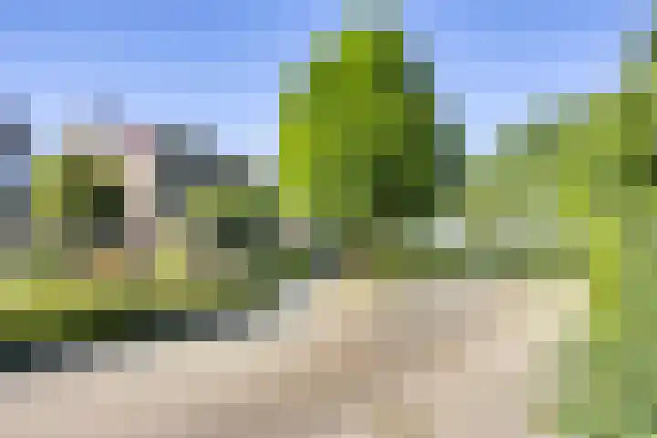 Zwette 6 Heerenveen thumbnail 5