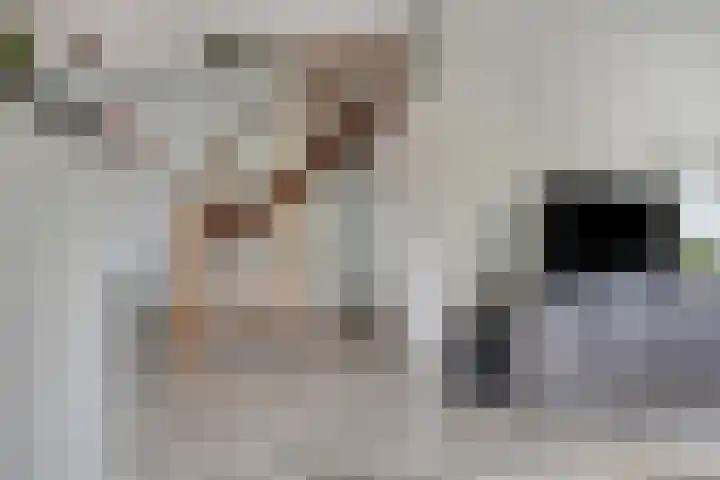 Zwette 6 Heerenveen thumbnail 9
