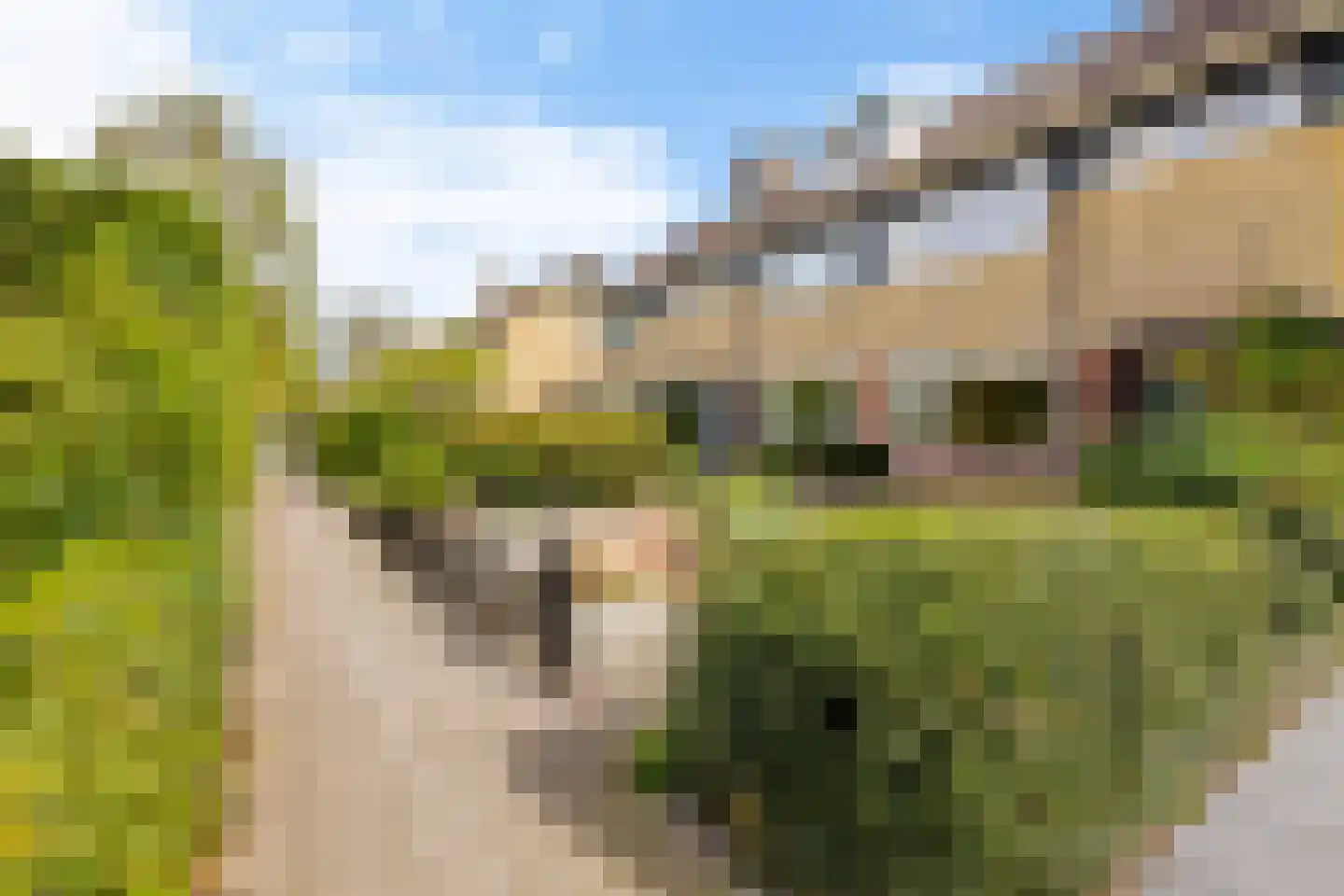 Zwette 90 Heerenveen thumbnail 42