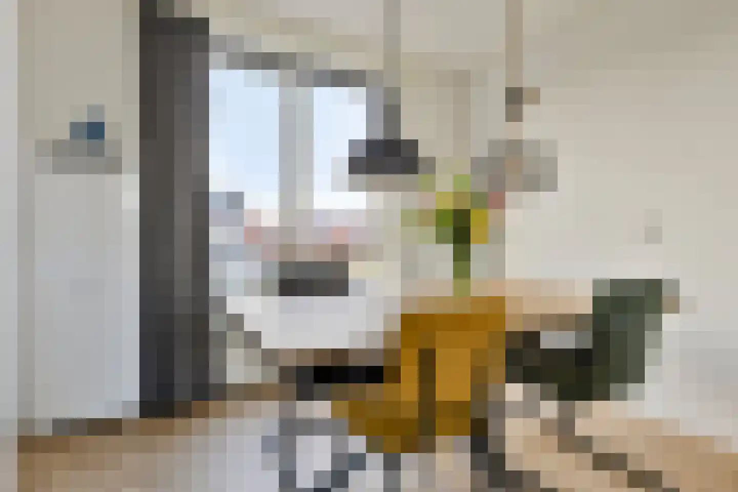 Zwettekade 2 Sneek thumbnail 18