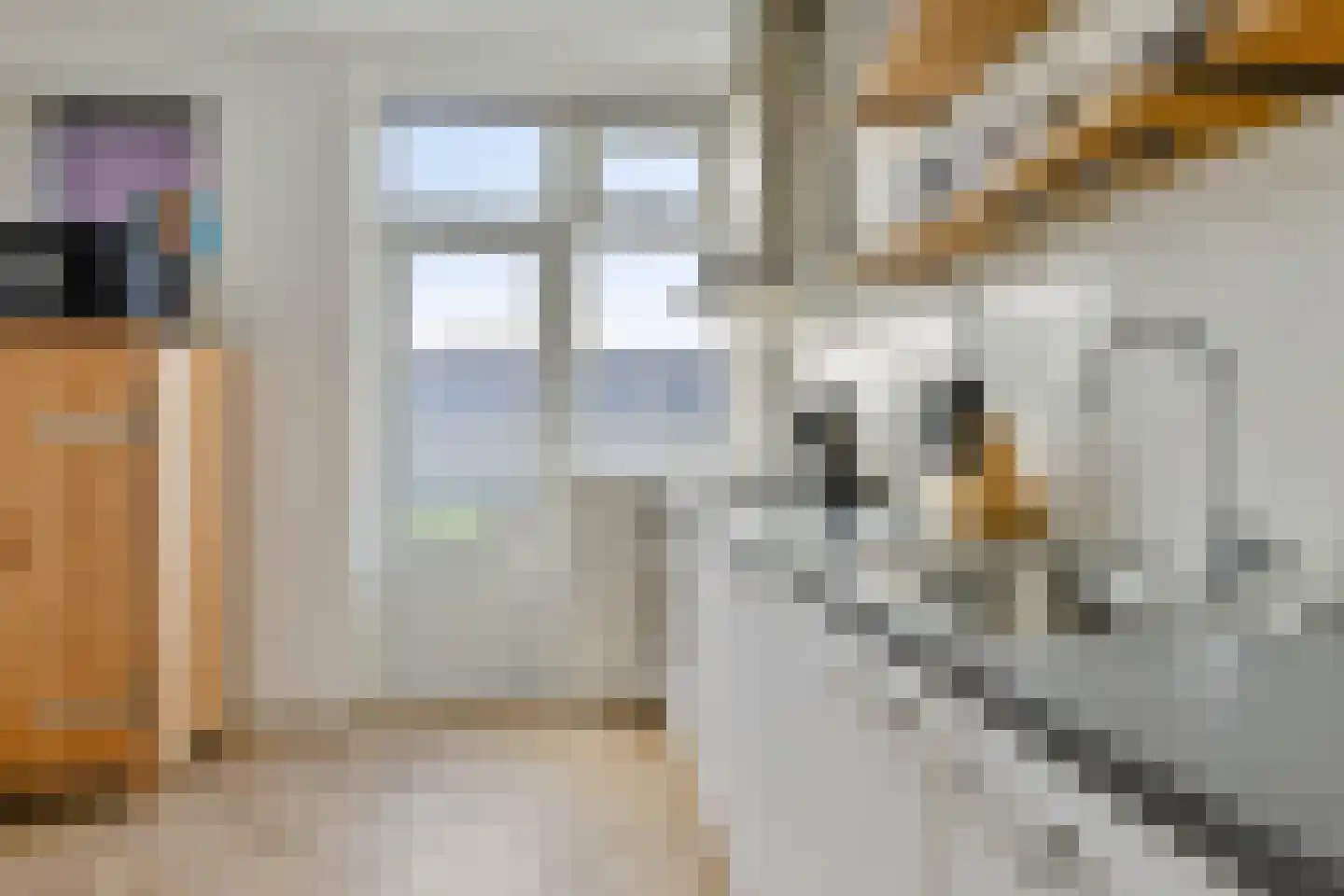 Zwettekade 2 Sneek thumbnail 19